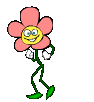 cvijet